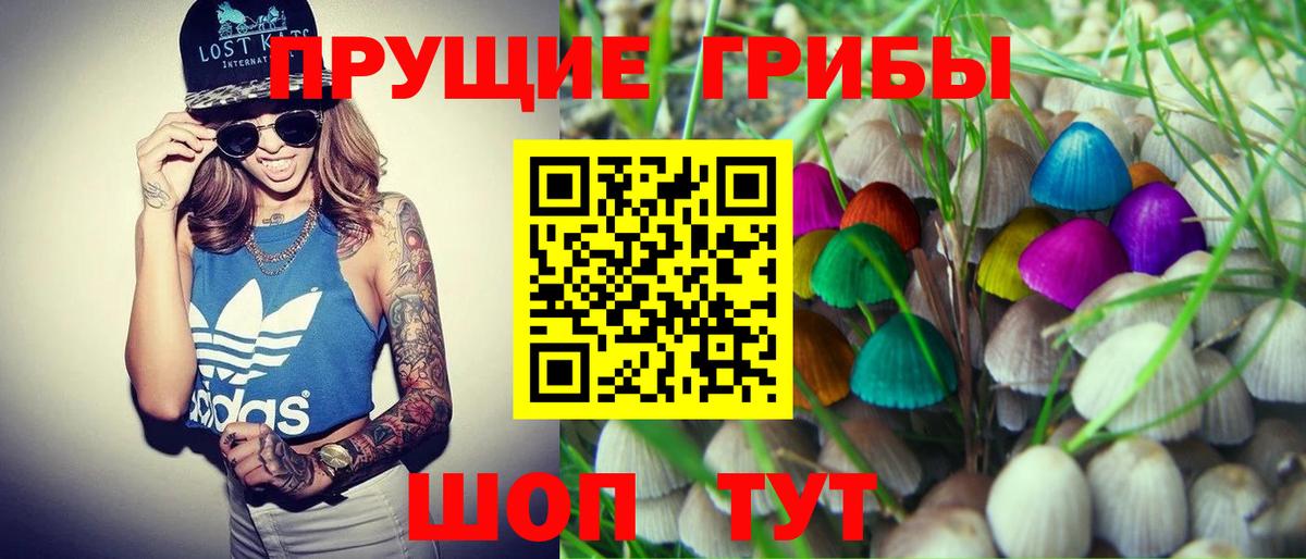 Реж  Псилоцибиновые грибы ЛСД  Вход с VPN 